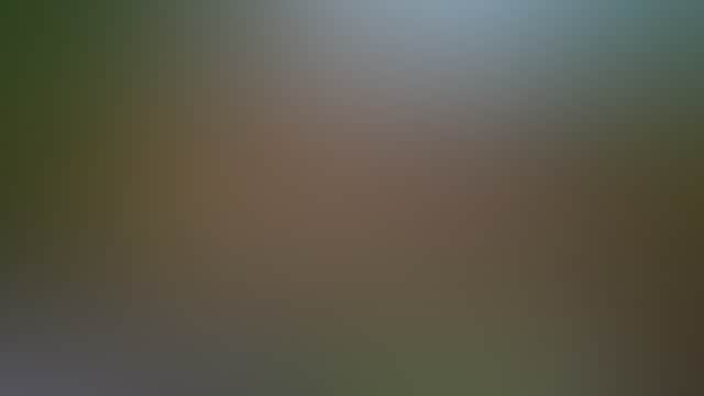 F1B9611F18Fcff8765C23222E2Fcaae1