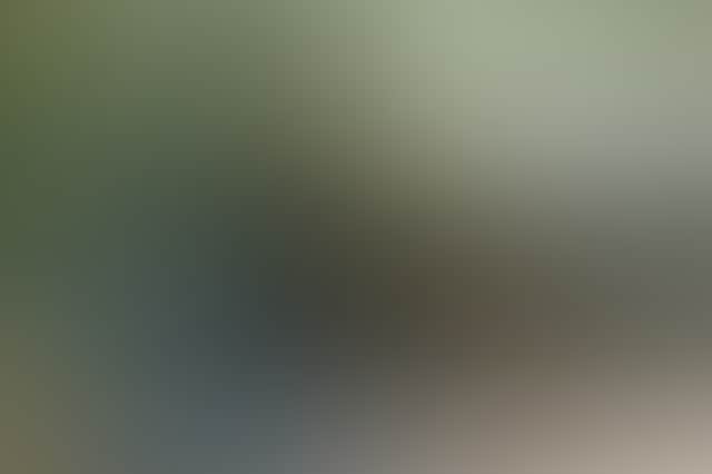 Fbe3707907444784Bb49899F5Bb4079B