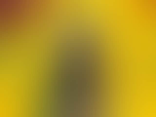 B831Cfa24Dd4A86365D98E32D0E1D1F2
