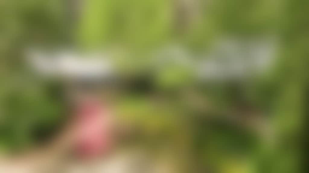 Screenshot 2025 07 18 at 14 55 52
