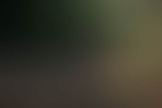 28E293059849765D4C2F555Fbecd670A