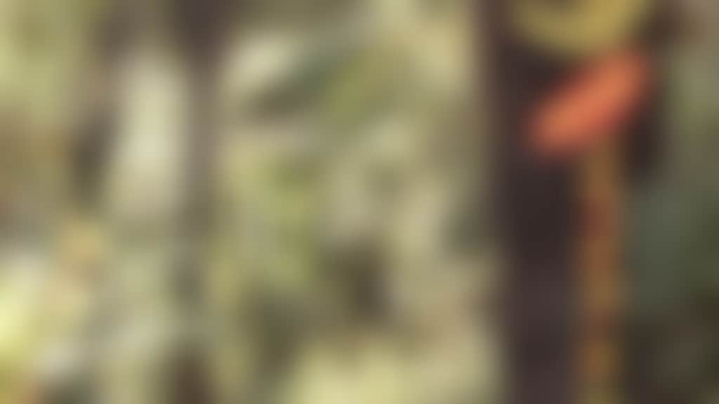 35B62233C79C1Dbc1Dc3Ed8907545002