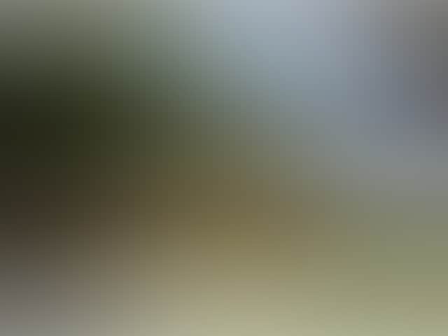 C9Ac7Ad0Ead795Cd0Abcd4Ef0884Cbbc