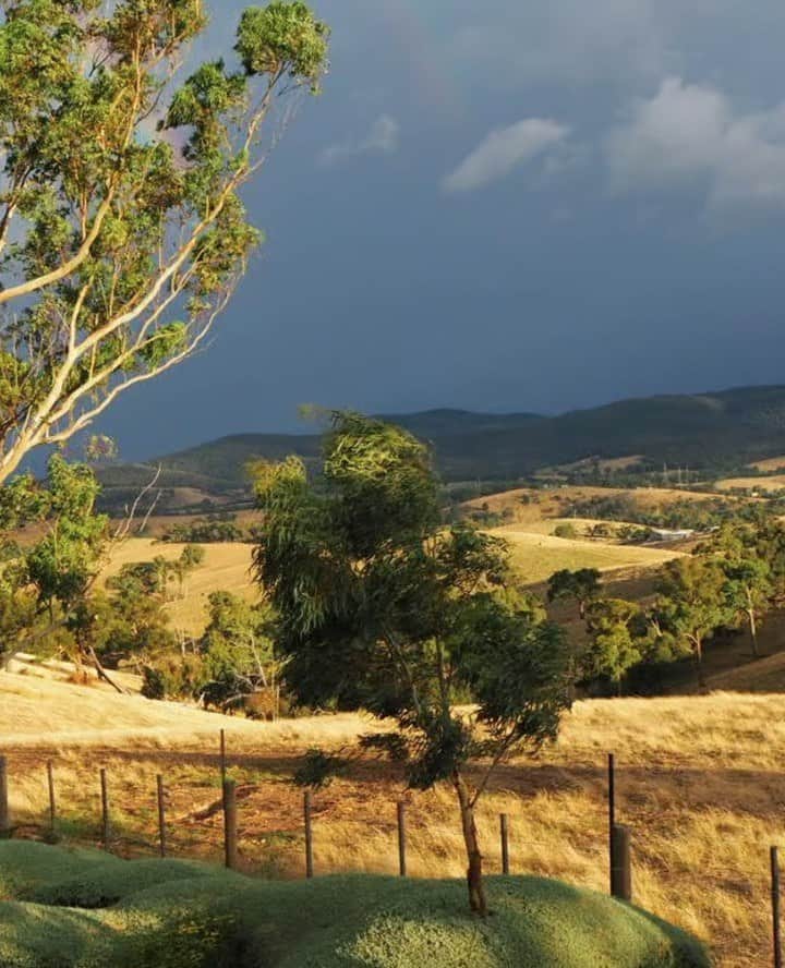 yarravalley dandenongranges