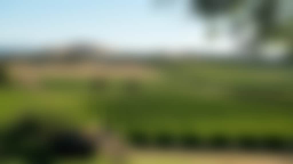 47918F46Ad543Fb684897B2E0A351Aac