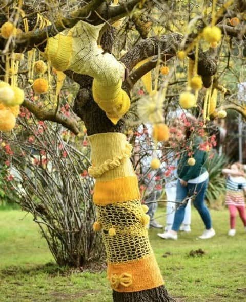 yarravalley dandenongranges