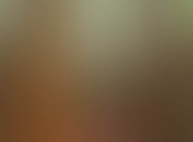 Ce58Aabca9729C81Fd6Ad92C3Bb5F074