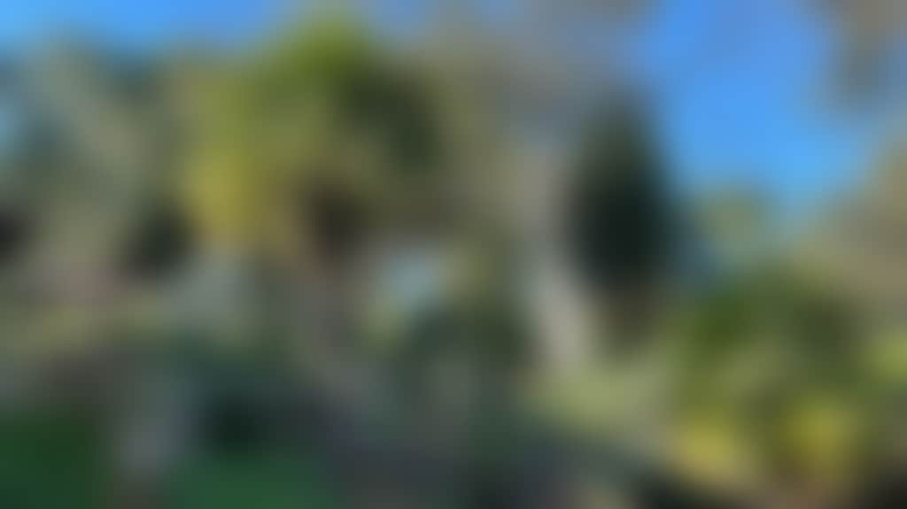 1Ce9Bdf69C2Cea7D5Efc044233F67009