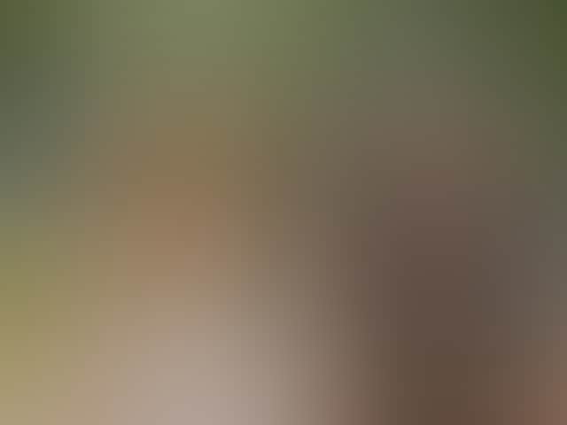 095E4Cfc9B37F728B7Faa050Dbd5C76E