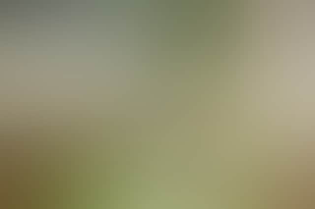46548F04B1B31322Ce86579B6Cbf05Fc