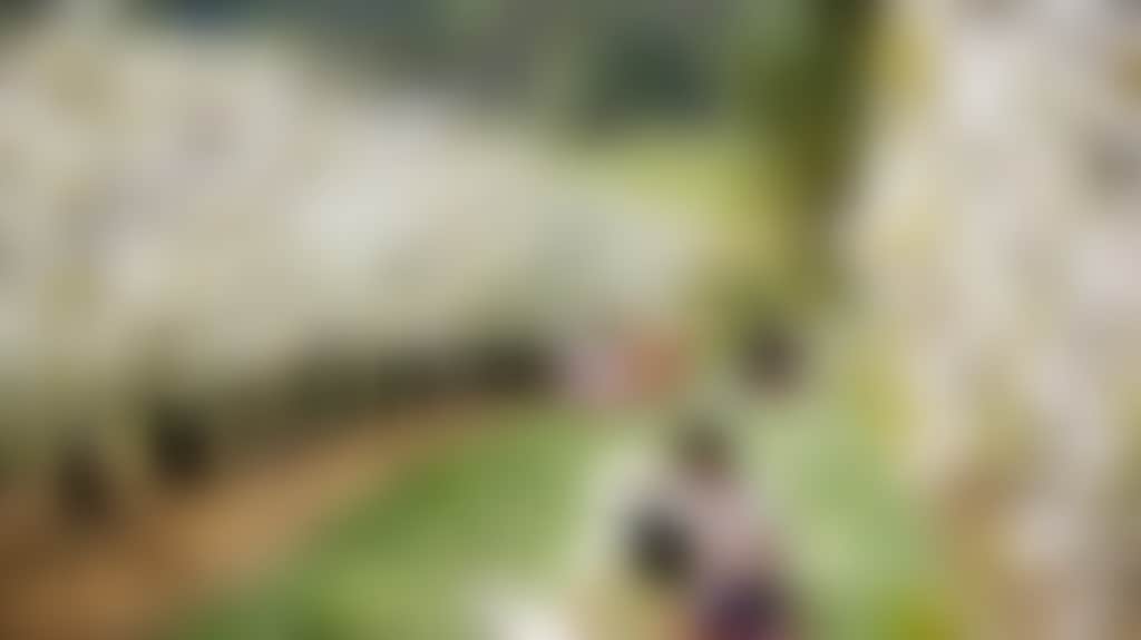 46548F04B1B31322Ce86579B6Cbf05Fc