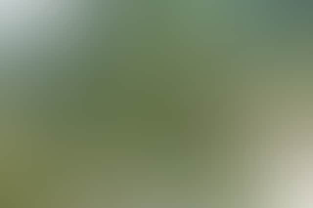 F96112Ddf174663Cd931702F7F28B51C