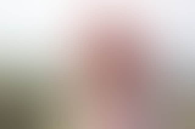 565Cee9686026Abcb9E259C2409F0406