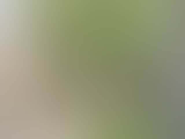 A0Afd2443Fa28E5B44A233A4Fcb82Ab5