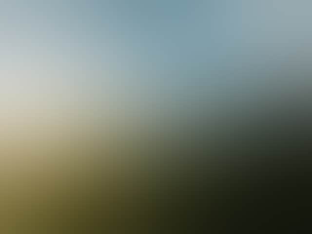 05F71990E56Eec4C9C152D8Dea627F54