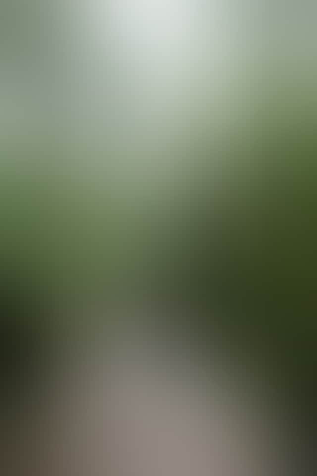685Cc2Ad46202D463F7B9Daa7Ebbba78