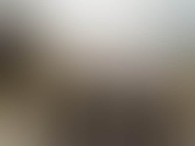 534F950714A24Fd51Cd984266721B411