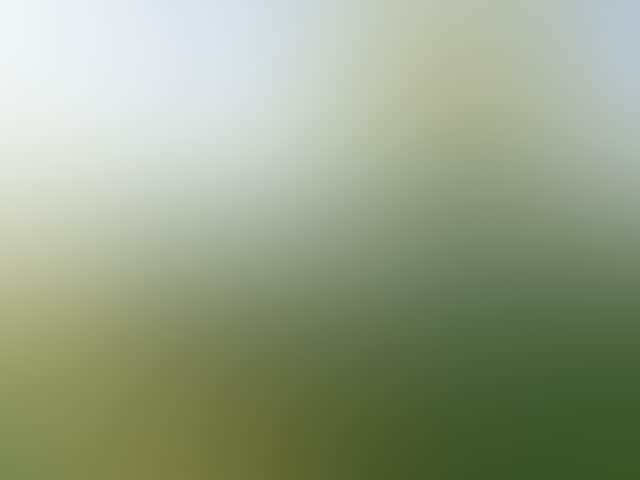 C3F8E93F629Eab907F458A79653C3192