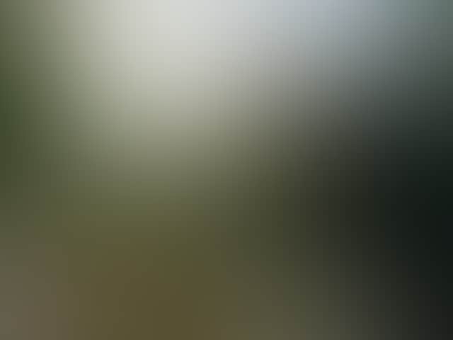 6Cb20B5A40A925Ffdaa6955117Ff444B