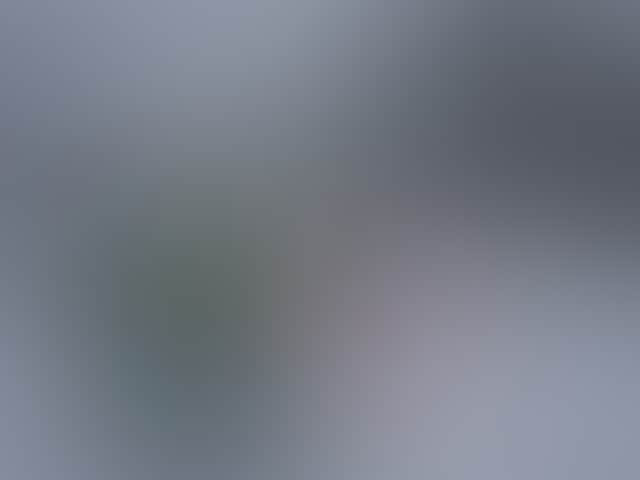 67D583Cc55Bea77F74292C207729C09D