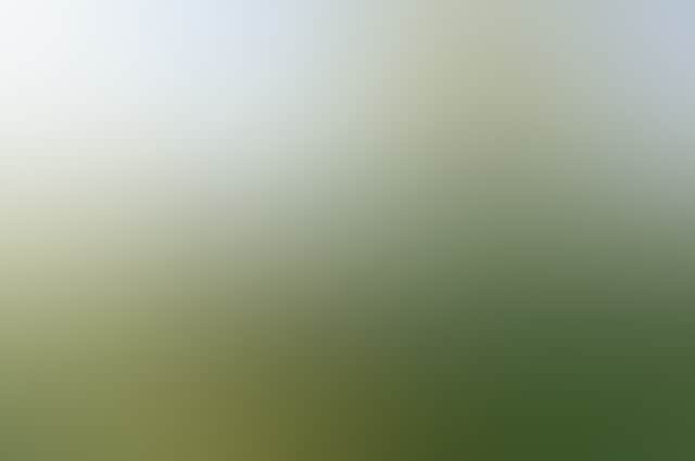950812D4398A2B8075Cb282321880D7E