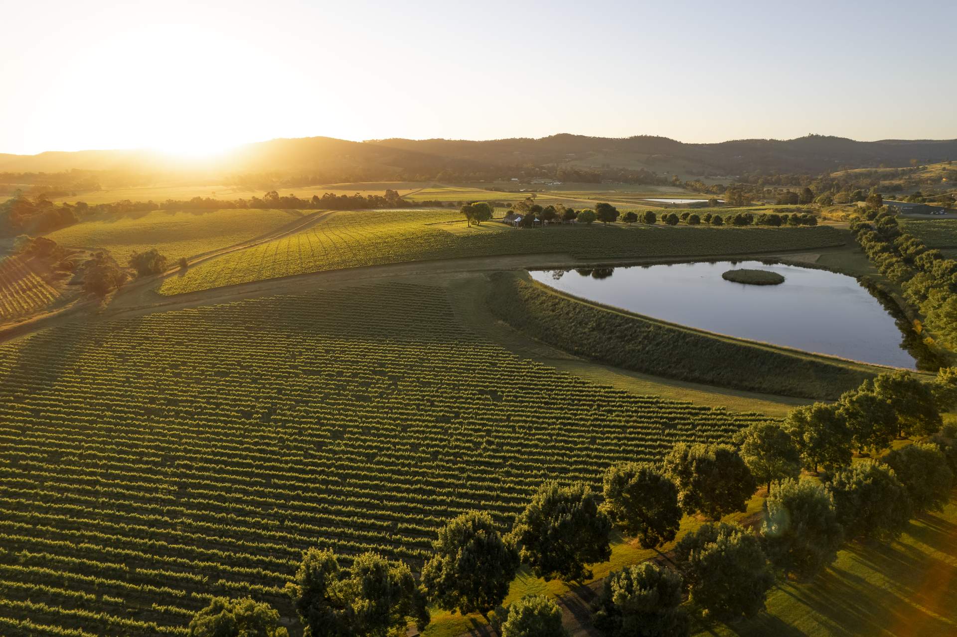 2021 Yarrawood Estate Neisha Breen Hi Res 54