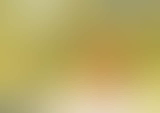F32Da8E2A3Ed7E5F7256439774F56C9C