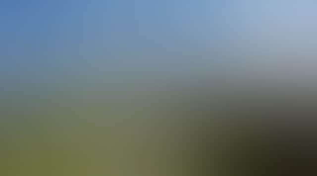 6816F14D8130594Ccee35Acf2Dc7Ca95