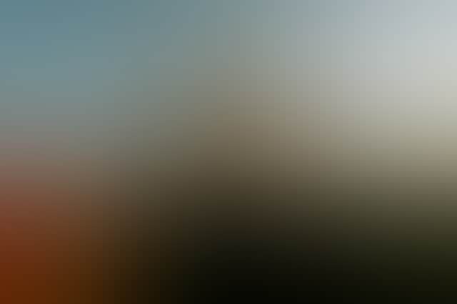 706Ee9A47C64B793Cc29363Eb52A9Bca