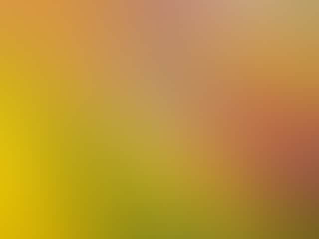 Baa05Ead1B4490Ffd376A30D9C15A29B