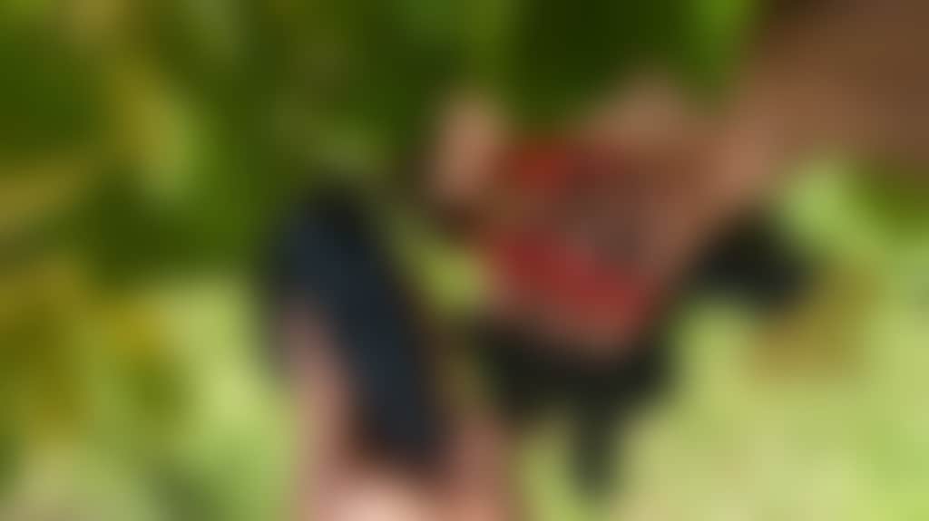 5000E4C596Dbf11E2D376788Aad65A03