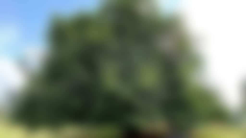 671D8A20Ef2747Bc5C418E093F7018Ca