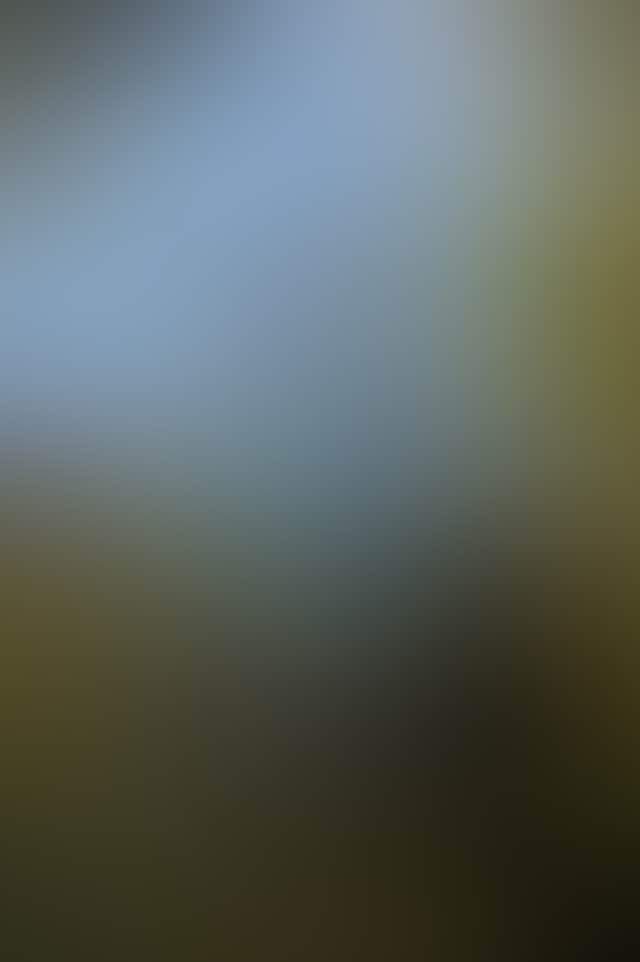6212E1E38699E2Ba61Ca945E9D286C4C