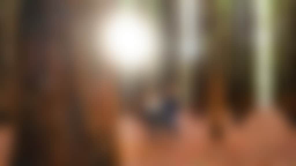 0C8Cc69357Dc03F1C673044F03766B76