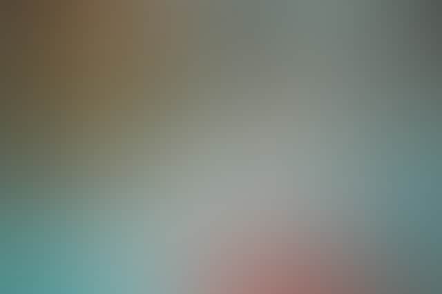 4E4E4C946246D5A8Bc95C9Ca98595027