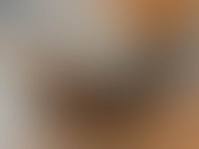 A3095Ff8D7Fa321A1Ed854Cad8C4Bff3