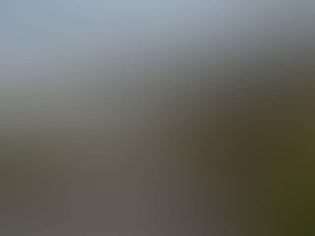 1Ea827Acc6Ba225D6D002A8Fc360D51D