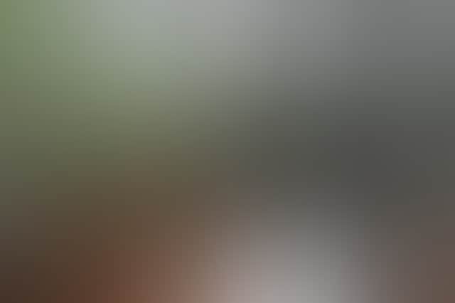 7035E97C5Fc2Cb1C29505Edde10462Ef