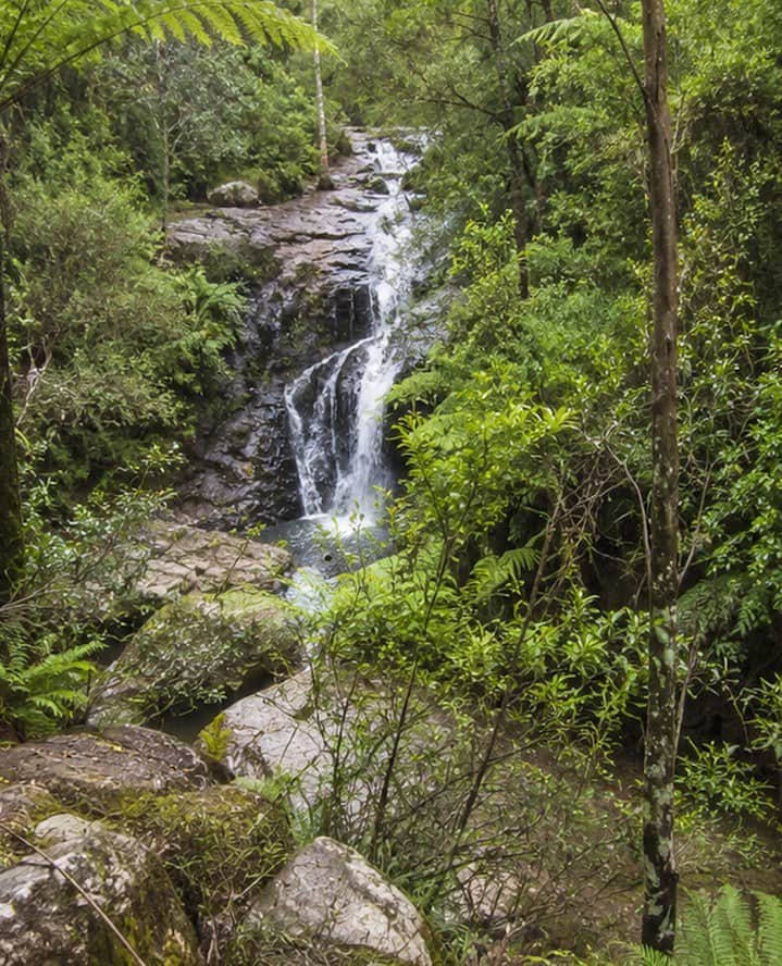 yarravalley dandenongranges