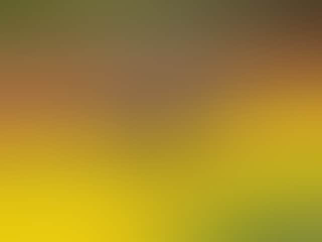 82059757987Af1B3Ce7E61E87Ee58D02