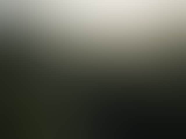 1188640Fcd285Eab44Cc4Cd986918C50