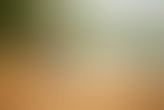 2717545998Cdca75Ffc385C961Bec188