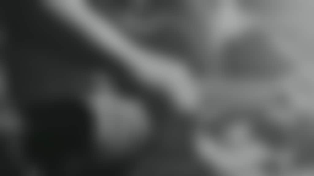 Dd9E086Bd4F9227F53D2095A593Dc99D