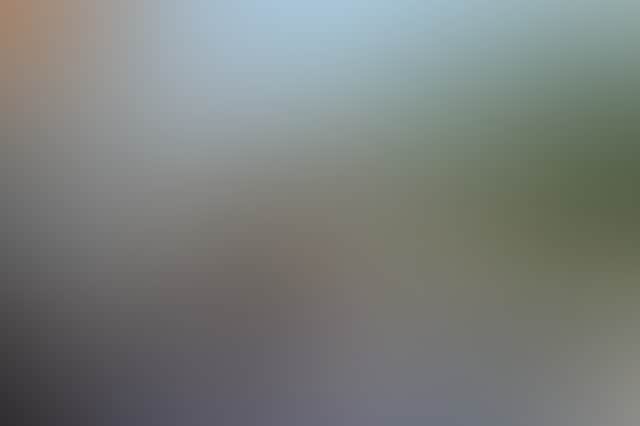 7Ca42F1E3Ab9711A2C8Fba4544Cc6Fa2