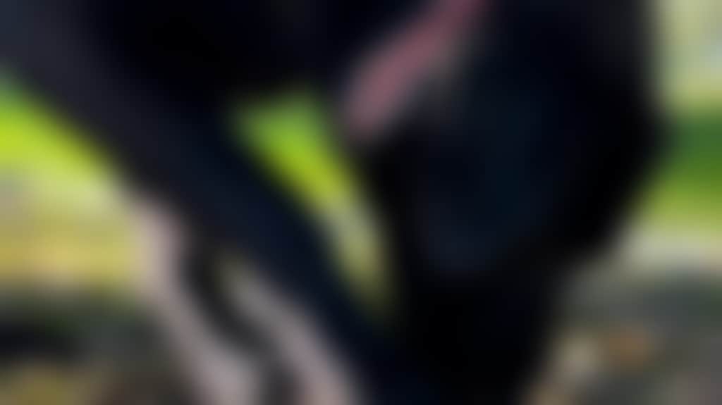 D9488C3D09Ccd587237535D873A156A6