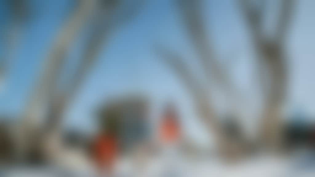 Dc94A9B33F31Ff16Cfb337Ba90A8Fc68