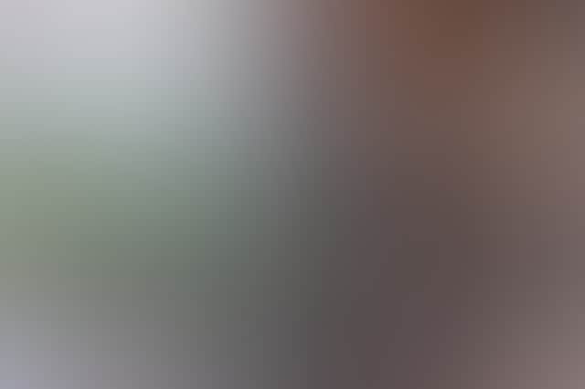 24E2281C81A9076E41Dae77Df8Ae31D1