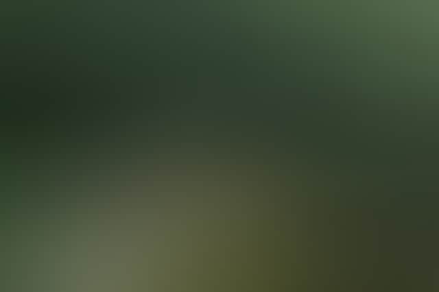 015B7B216Ff805E1833C7C8A622F6E05