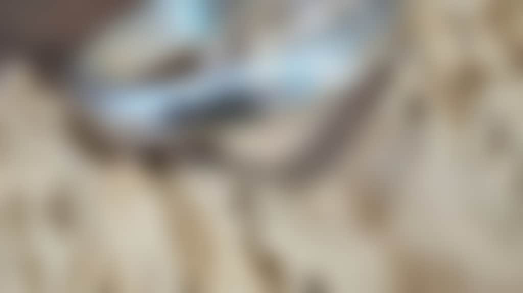D93Ae27A04395E8C3A89561B411Aaca0