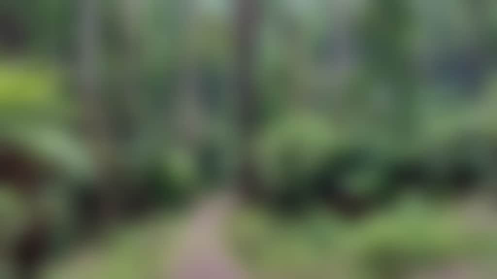 C7D5172791B9C342171D30A92557597D